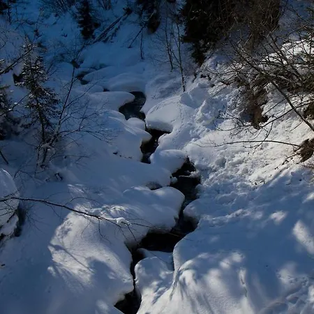 Lägenhet Haus Danna Sankt Gallenkirch