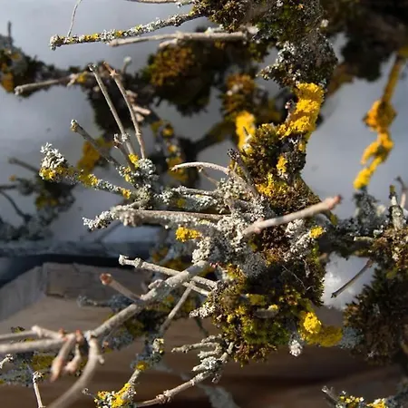 Διαμέρισμα Haus Danna