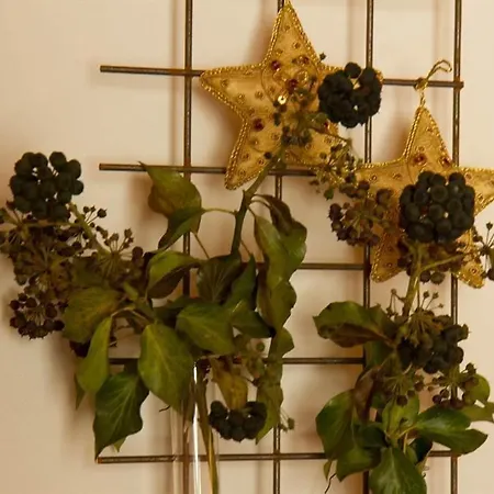 Haus Danna Διαμέρισμα *